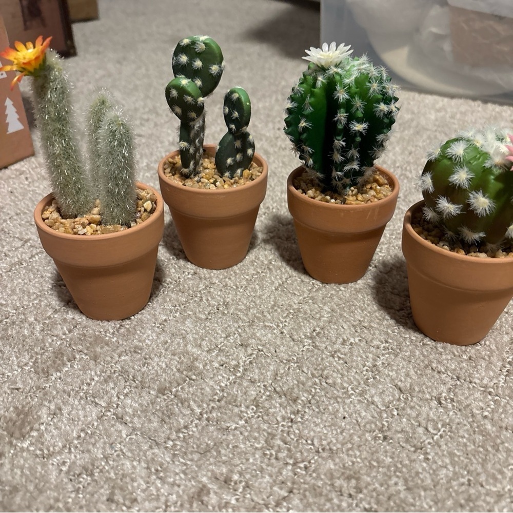 Mini Artificial Cactus Plants in Terracotta Pots 4 Pcs Potted Faux Succulents